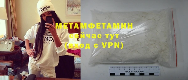 шишки Аркадак