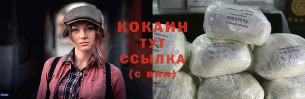 шишки Аркадак