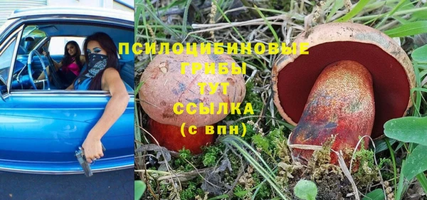 прущие грибы Балабаново