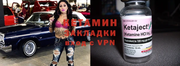 шишки Аркадак